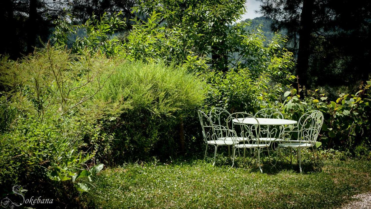 Le Nid Des Anges Vila Saint-André-Lachamp Exterior foto
